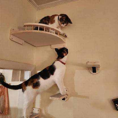 Wall-Mounted Wooden Cat Shelves Lookout Climbing Perch Set
