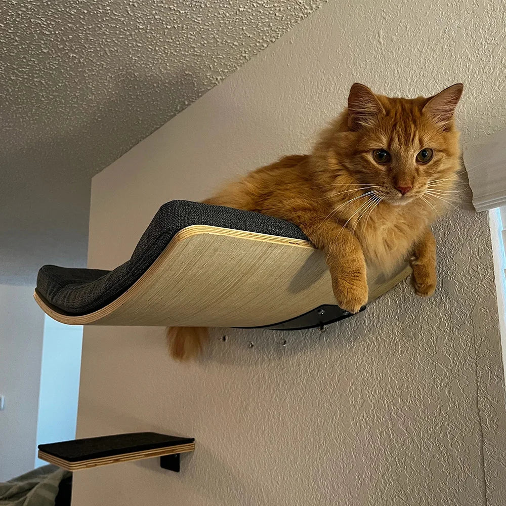 Wall-Mounted Cat Shelf Perch With Soft Cushion for Indoor Cats