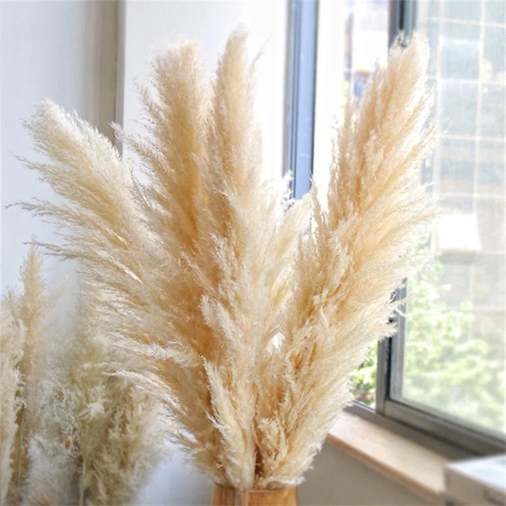 Natural dried pampas grass plumes, 110-120cm tall