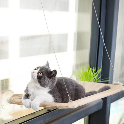 Cat Window Hammock Suction-Mounted Sunny Window Perch Bed
