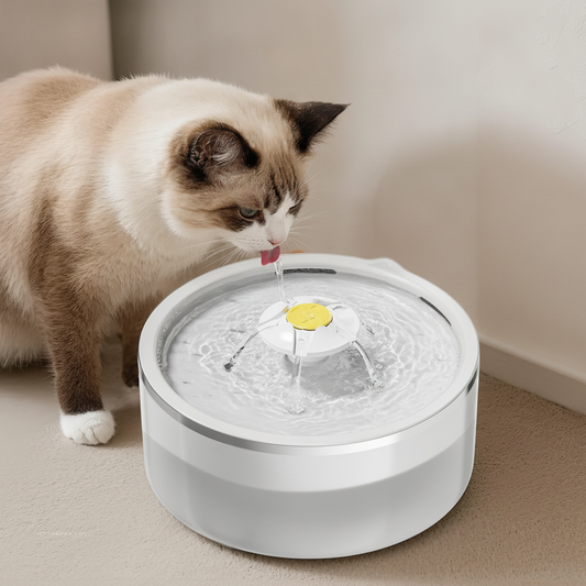 Cat drinking from the white pet water fountain