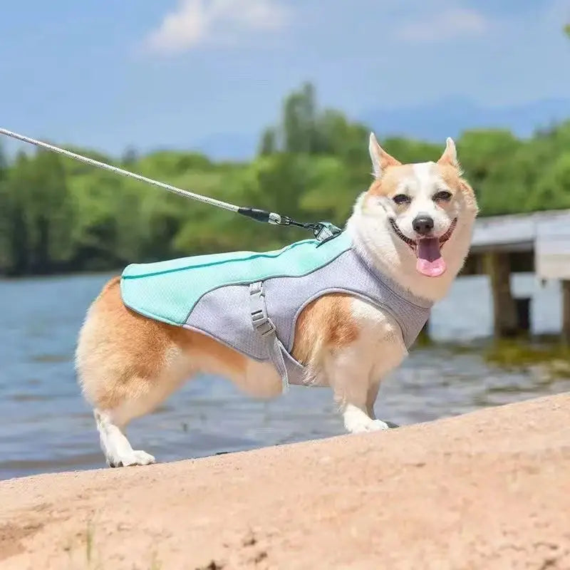 Evaporative Dog Cooling Vest for Summer Walks