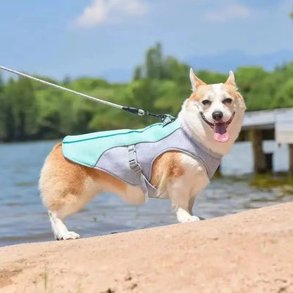 Evaporative Dog Cooling Vest for Summer Walks