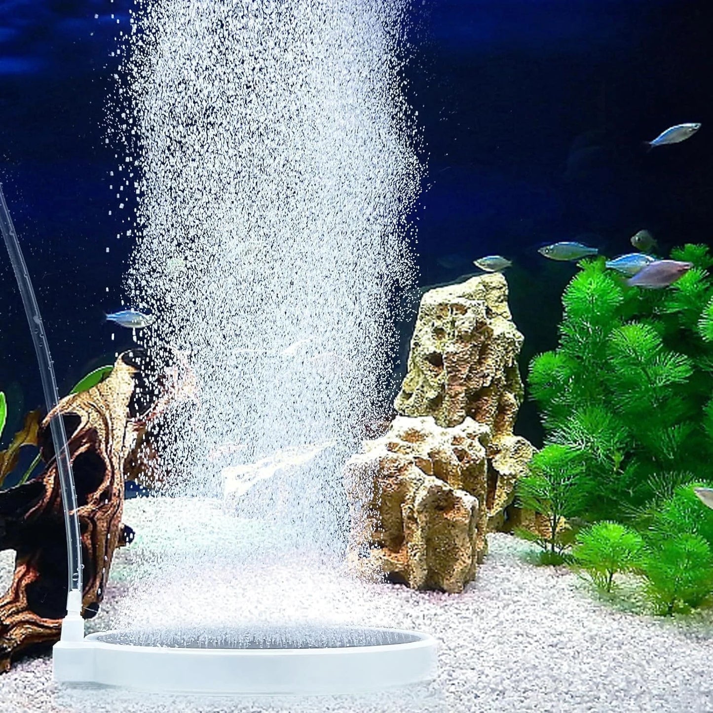 Aquarium Air Stone Disc Bubbler Set, Nano Oxygen Diffuser