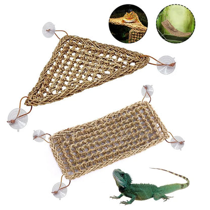 Natural Seagrass Reptile Hammock, Lizard Lounger Ledge