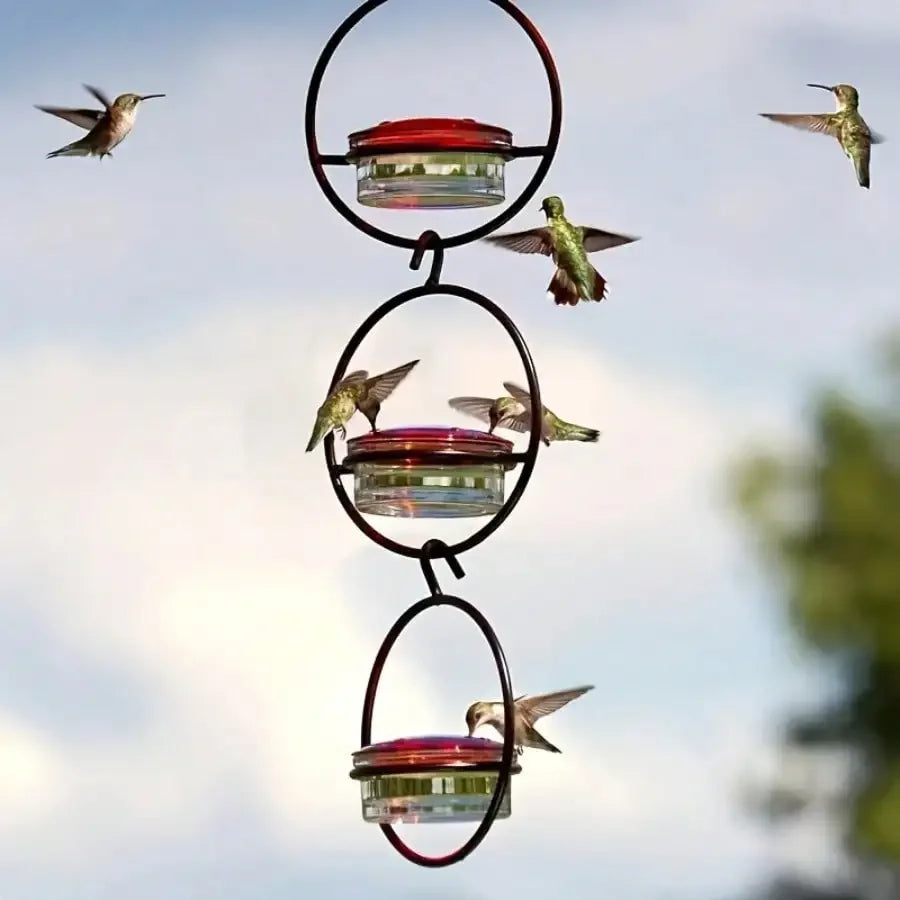 Hand-Blown Glass Hummingbird Feeder Premium Garden Gift Outdoor — real product photo