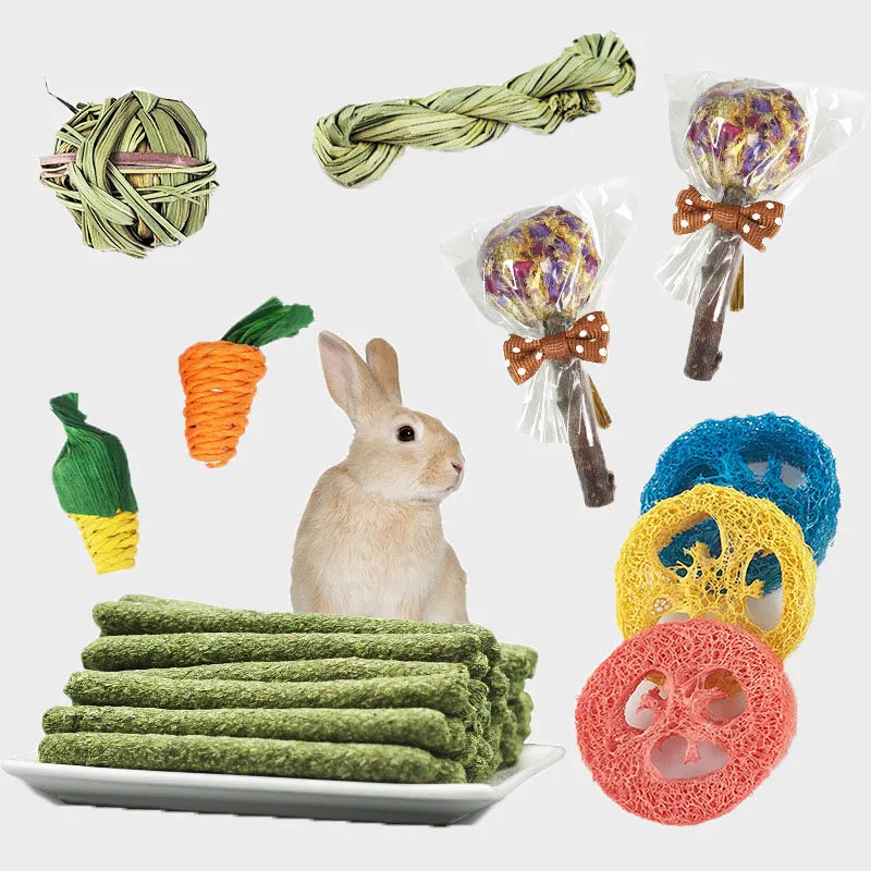 Natural Chew & Forage Toy Set for Rabbits and Small Pets