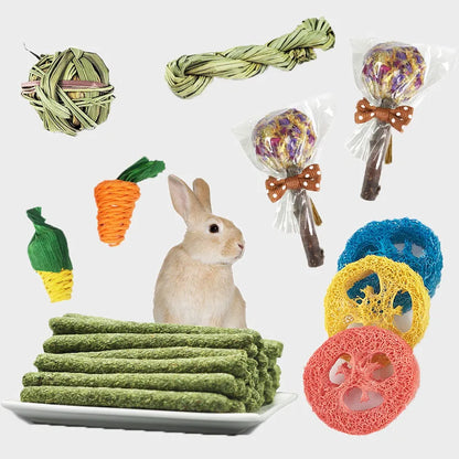 Natural Chew & Forage Toy Set for Rabbits and Small Pets