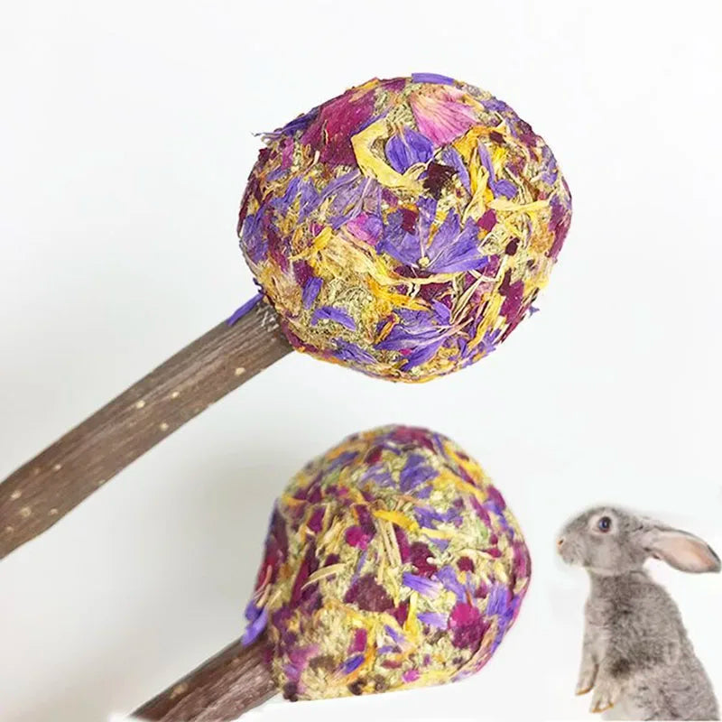 Natural Chew & Forage Toy Set for Rabbits and Small Pets