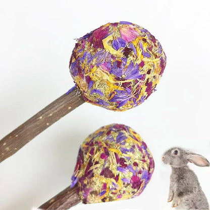 Natural Chew & Forage Toy Set for Rabbits and Small Pets