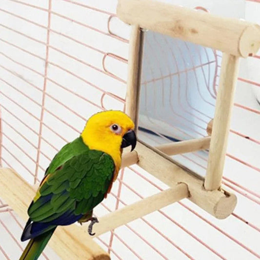 Bird Cage Mirror Toy With Bell and Preening Perch