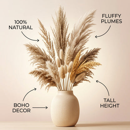 Dried Pampas Grass Fall Arrangement Tall Natural B infographic - Syvah
