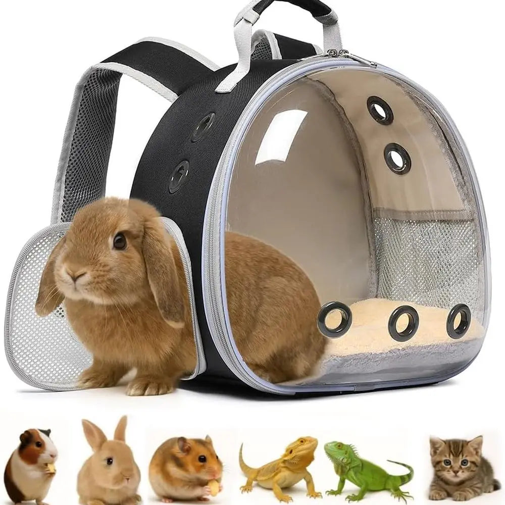 Bubble Backpack Pet Carrier — Reptiles, Rabbits & Small Pets