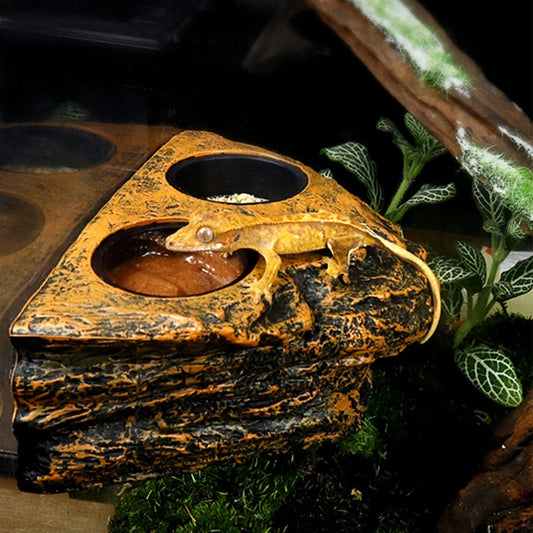 Magnetic Reptile Feeding Ledge with Food & Water Cups