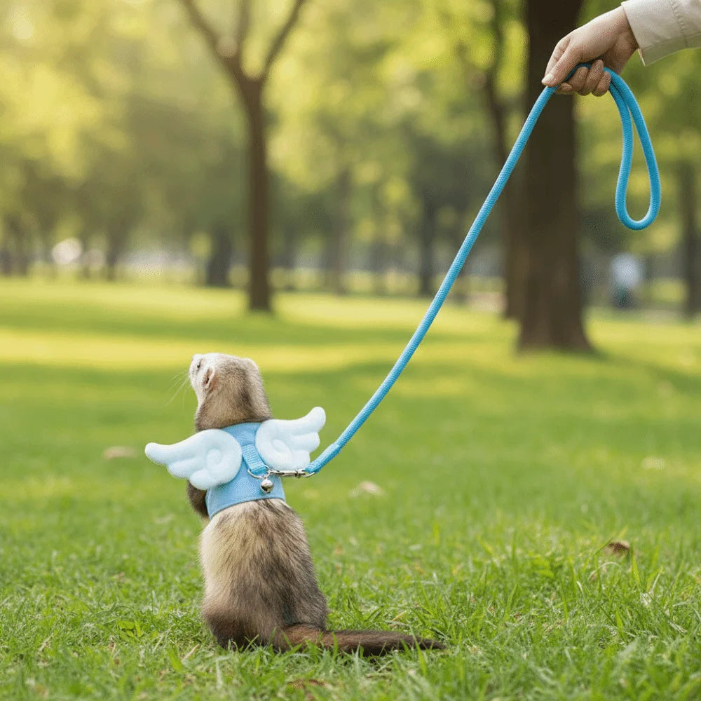 Angel-Wing Small Pet Harness & Leash — Rabbits, Guinea Pigs, Ferrets