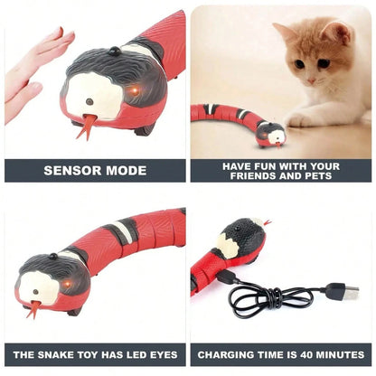 Interactive Electric Snake Cat Toy — Motion-Sensing, Auto-Shutoff, USB Rechargeable