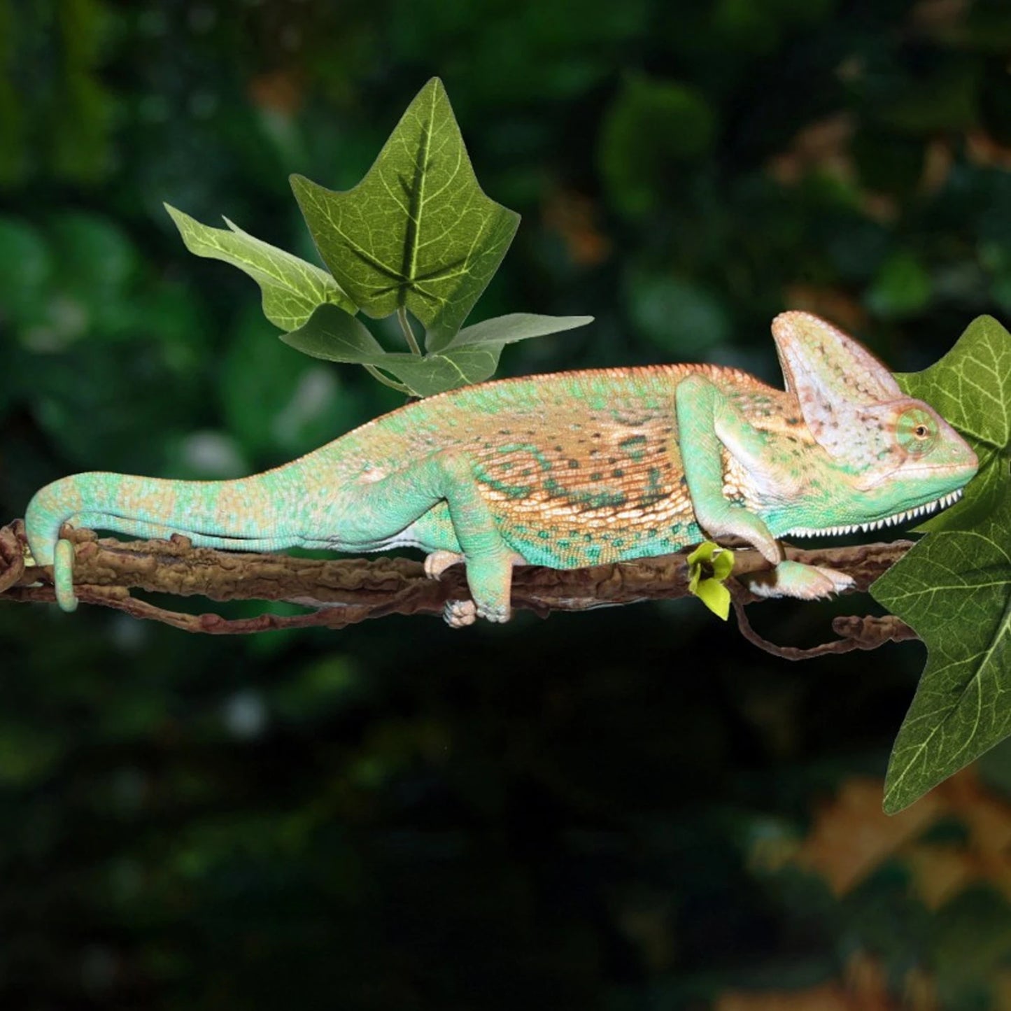 Flexible Reptile Climbing Vine With Suction Cup Mounts