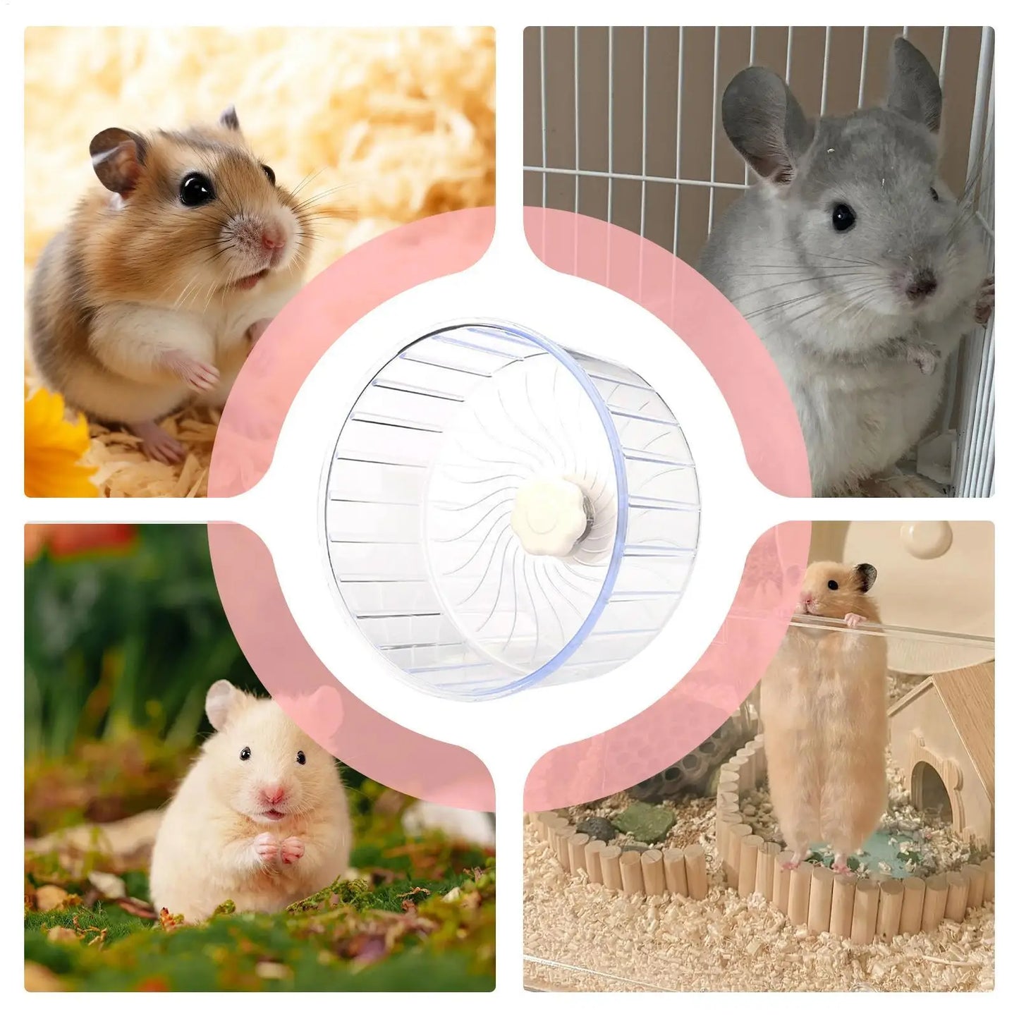 Silent Spinner Exercise Wheel for Hamsters and Small Pets